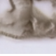 彩色
