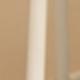 彩色