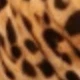 Yellow and Black Leopard Print