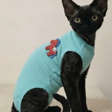 Pakaian Hewan Peliharaan Rompi Terusan Berkaki Empat, Palet Warna Kuda Poni 3D Morandi 3 Warna, Lapisan Dasar Pas Badan, Anti Rontok, Anti Dingin, Untuk Kucing Tanpa Bulu Abyssinian dan Devon Rex - Mint Blue - View 6