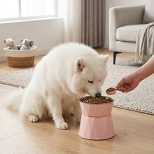 1 Set Non-Slip Stainless Steel Pet Bowl With Raised Stand To Protect Neck, Tilted Design To Prevent Spillage And Bloating, Suitable For Cats And Dogs, Comfortable Height To Promote Healthy Eating - 500ml - View 3