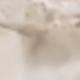 1PC