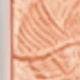SE06