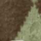Khaki Green