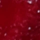 7 Wine Red