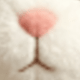 彩色