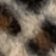 Camel Leopard Print