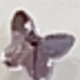 Purple Butterfly Diamond