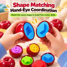 12PCS Apple Shape Matching Toy Set, Toddler Montessori Educational Puzzle Toy For Shape, Color & Number Recognition With Storage Apple - Multicolor - View 4