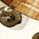 متعدد الألوان