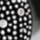 Glasses [Rhinestone Decorated Frames]