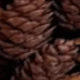 متعدد الألوان