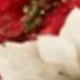 Red and White