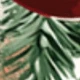 متعدد الألوان
