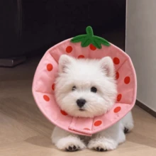 Elizabeth Collar Dog Head Cover Soft Collar Anti-Licking Device For Small Dogs, Cat Collar Anti-Biting Doesn't Affect Eating, Post-Surgery Collar - Multicolor - View 16