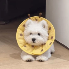 Elizabeth Collar Dog Head Cover Soft Collar Anti-Licking Device For Small Dogs, Cat Collar Anti-Biting Doesn't Affect Eating, Post-Surgery Collar - Multicolor - View 1