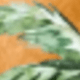 彩色