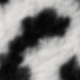 Black and White
