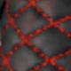 Black Red Line