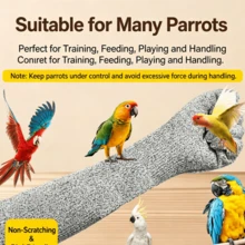 Parrot Bite-Proof Gloves, Bird Training And Taming Hand Protection, Macaw Feeding Anti-Scratch Gloves, Pet Rat Anti-Cat Scratch Protective Gear - 1pc Training Hoop - View 6