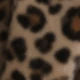 Camel Leopard Print