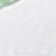 白色/藍綠色