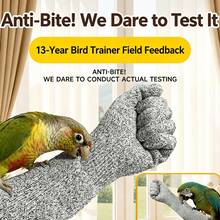 Parrot Bite-Proof Gloves, Bird Training And Taming Hand Protection, Macaw Feeding Anti-Scratch Gloves, Pet Rat Anti-Cat Scratch Protective Gear - 1pc Training Hoop - View 8