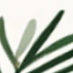متعدد الألوان
