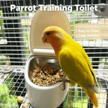 Parrot Wall-Mounted Toilet, Chick Xuanfeng Peony Toilet, Plastic Inner Liner Detachable, Flushable Toilet, Training For Fixed-Point Excretion - Multi-color - View 8