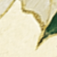 متعدد الألوان