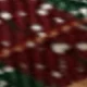 متعدد الألوان