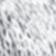 Grey-white