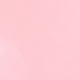 Heart Strawberry