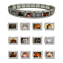 1pc Stainless Steel Italian Style Modular Charm Bracelet, DIY Interchangeable Photo Pattern Links, Fashion Women Jewelry, Ideal Gift For Daily Wear - Animal Series - View 2
