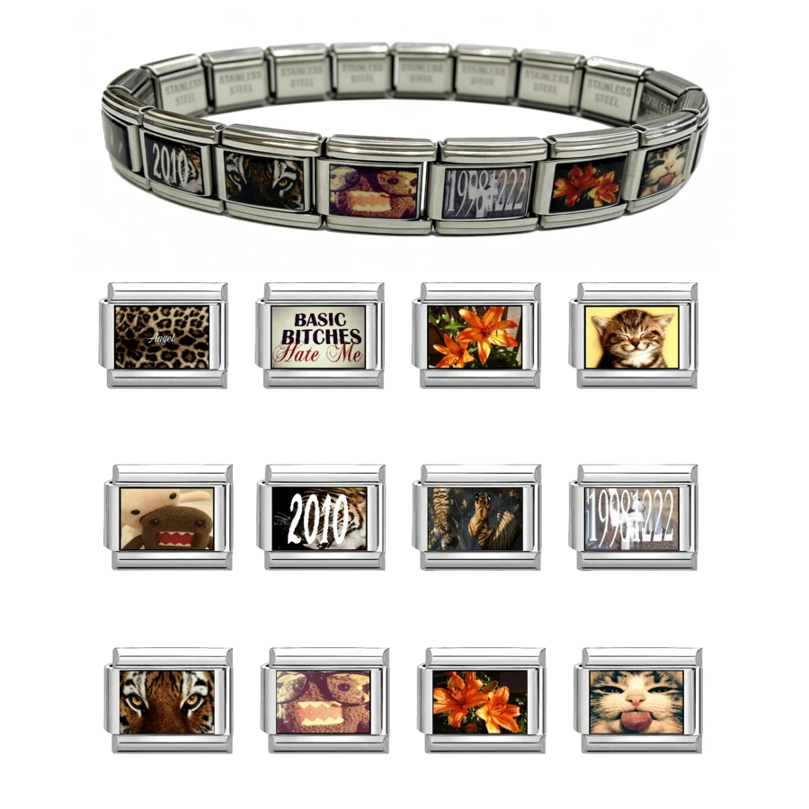 1pc Stainless Steel Italian Style Modular Charm Bracelet, DIY Interchangeable Photo Pattern Links, Fashion Women Jewelry, Ideal Gift For Daily Wear