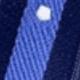 Light Blue Diagonal Stripes and Polka Dots