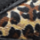 Black Leopard