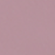 Wax Apple Purple
