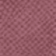 Rose Purple