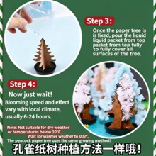 Magic DIY Blooming Christmas Tree, DIY Paper Tree Crystal Growth Toy, Christmas Decoration Ornament, Creative Gift For Birthday Party - Multicolor - View 5