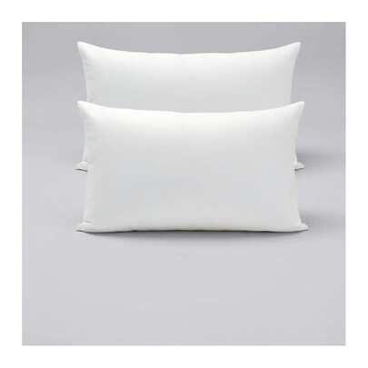 Pillow Inserts
