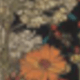 Multicolor