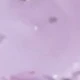 Mauve Purple