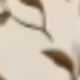 彩色