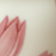 彩色