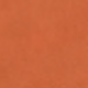 Coral Orange