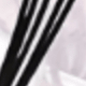 彩色