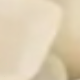 彩色