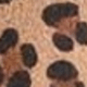 Leopard Print