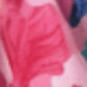 彩色